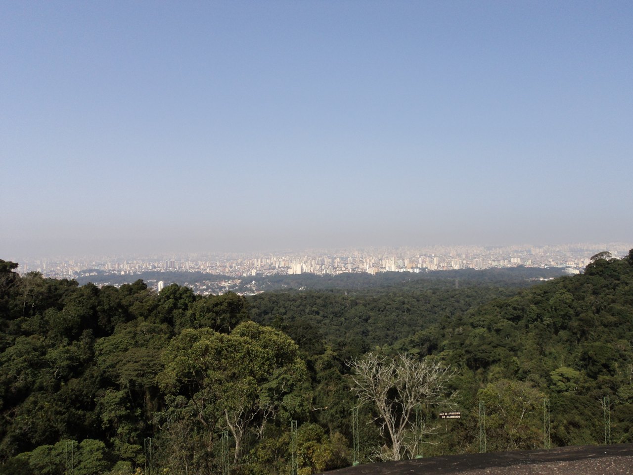 Vista do alto da Pedra Grande: mata contínua em primeiro plano e o horizonte de prédios de São Paulo ao fundo, sob céu claro.