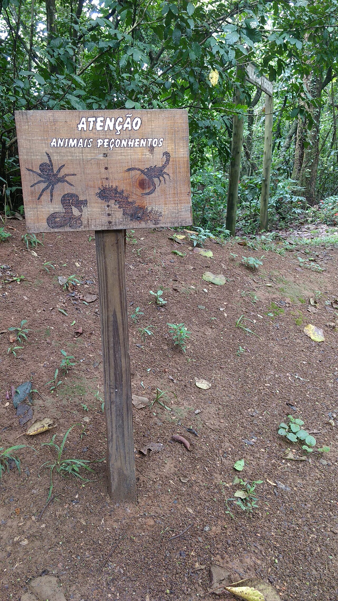 Portão de entrada com letreiro Parque da Cantareira - Núcleo Pedra Grande, guarita à direita e árvores ao redor.