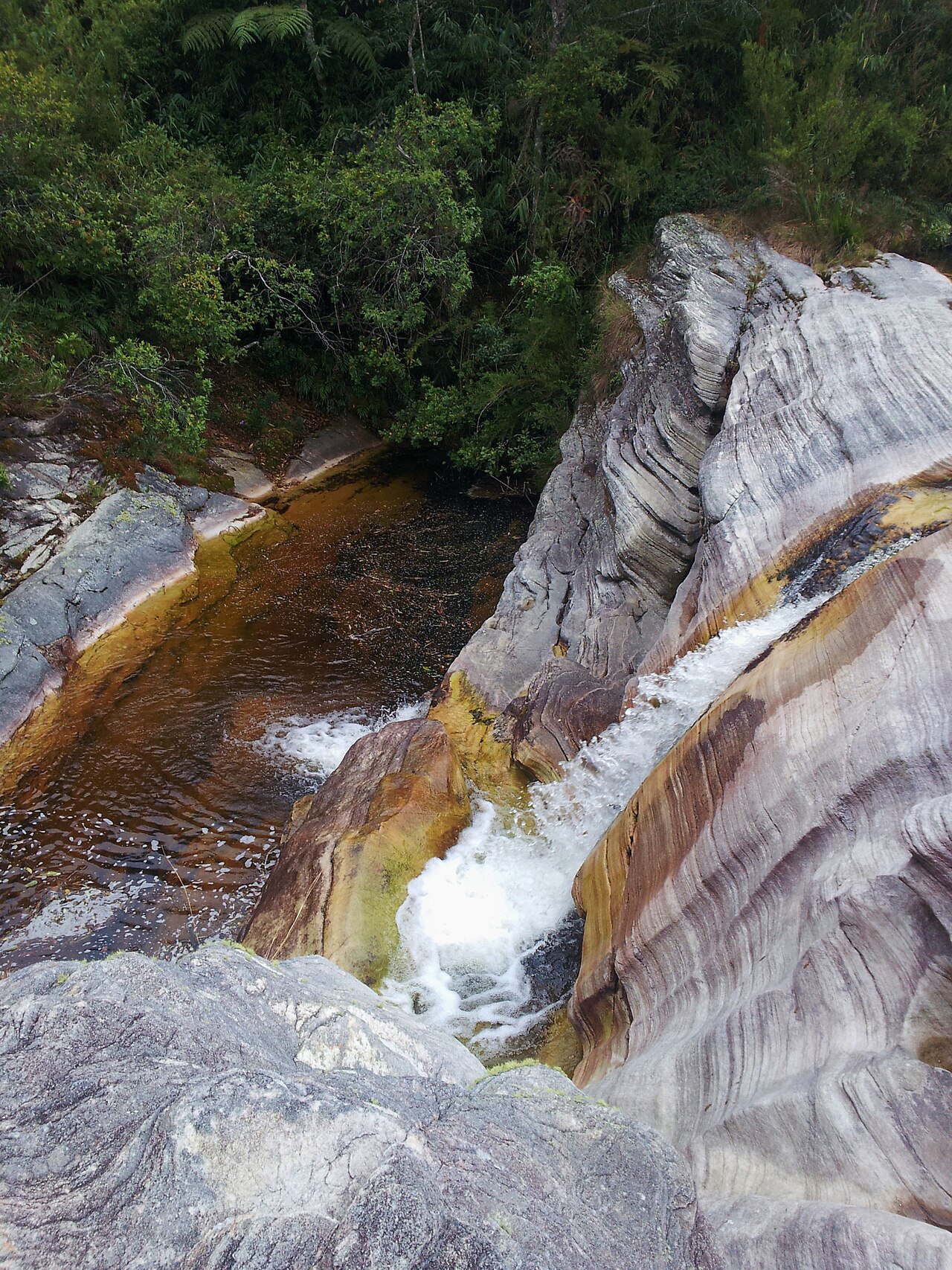 Paisagem natural da área protegida.