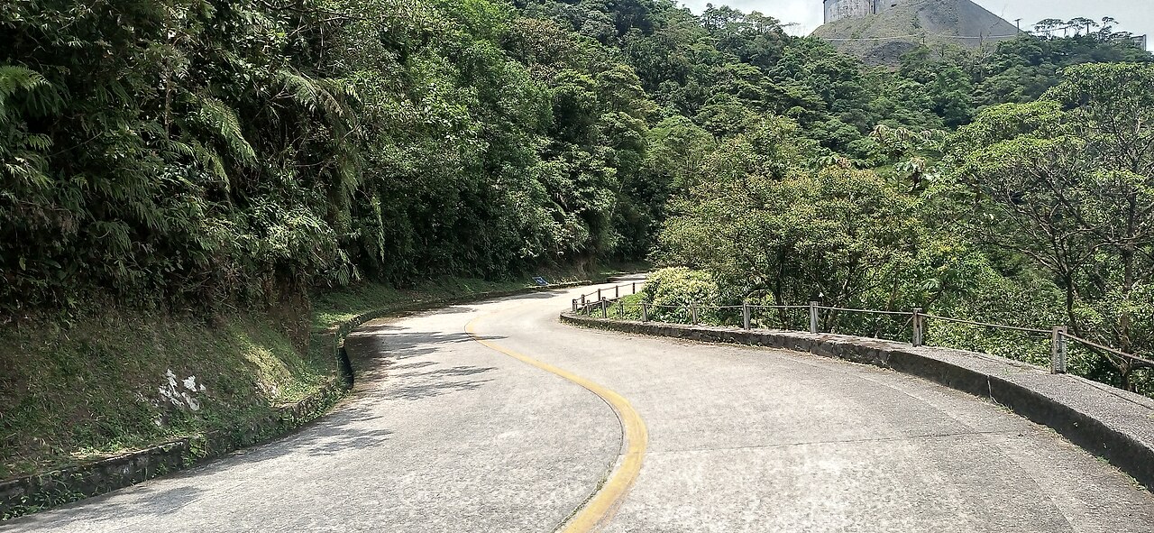 Estrada em meio à vegetação.