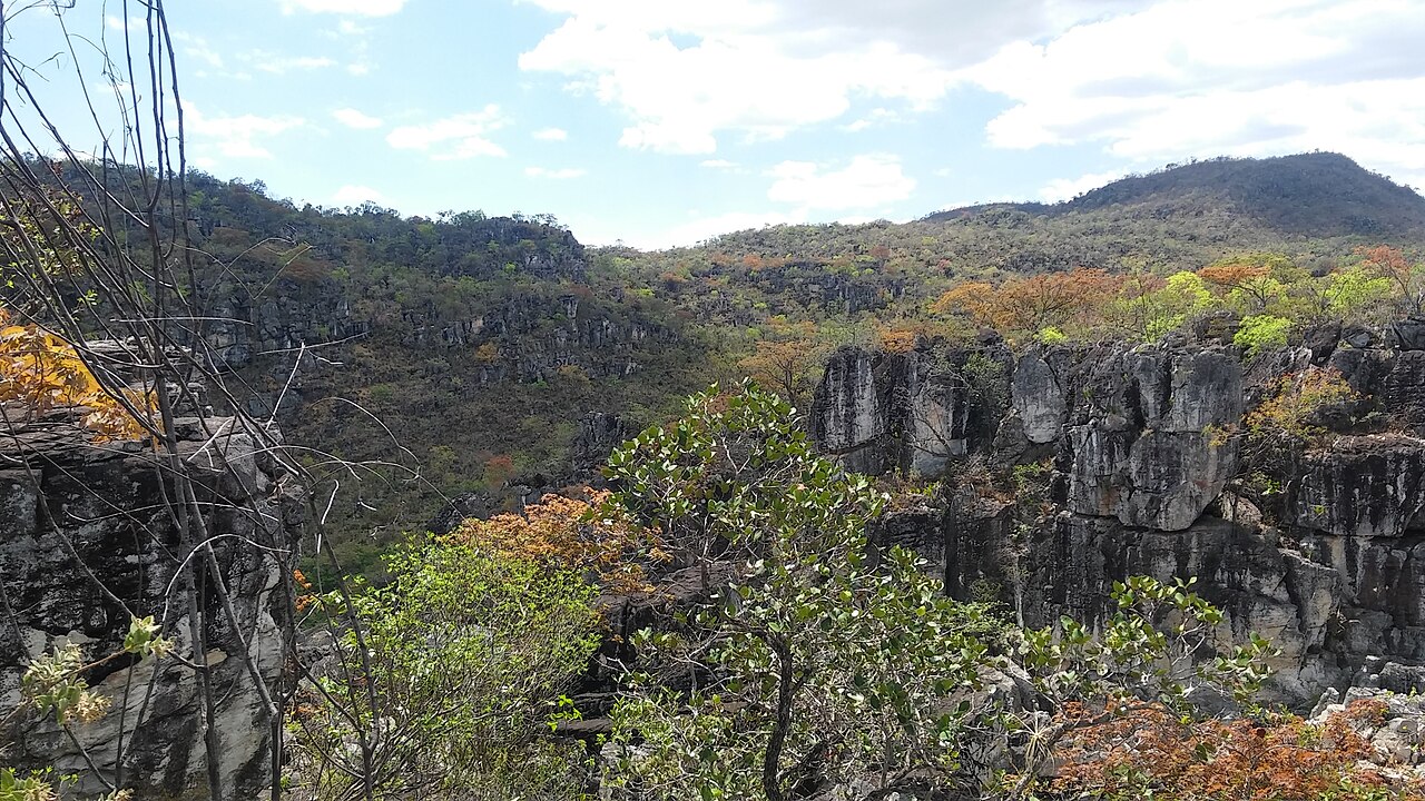Paisagem natural da área protegida.