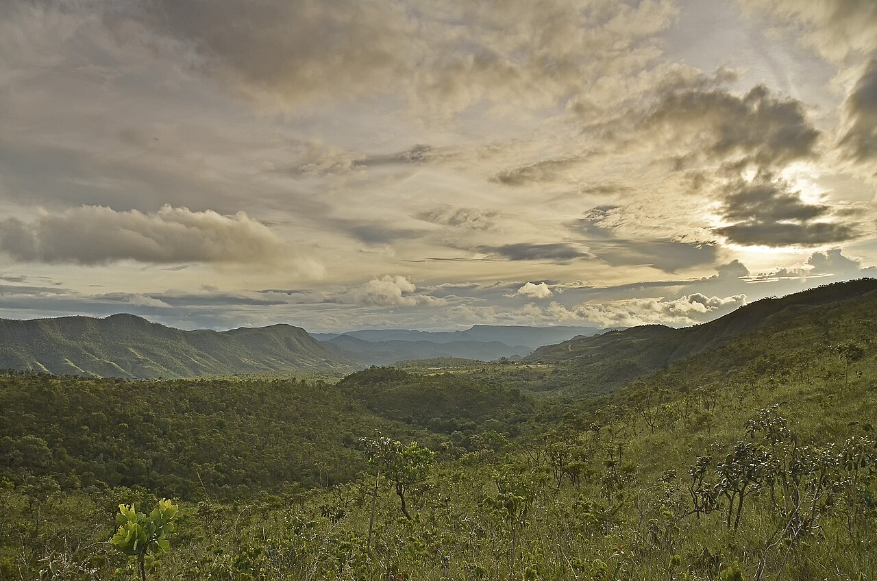 Paisagem natural da área protegida.
