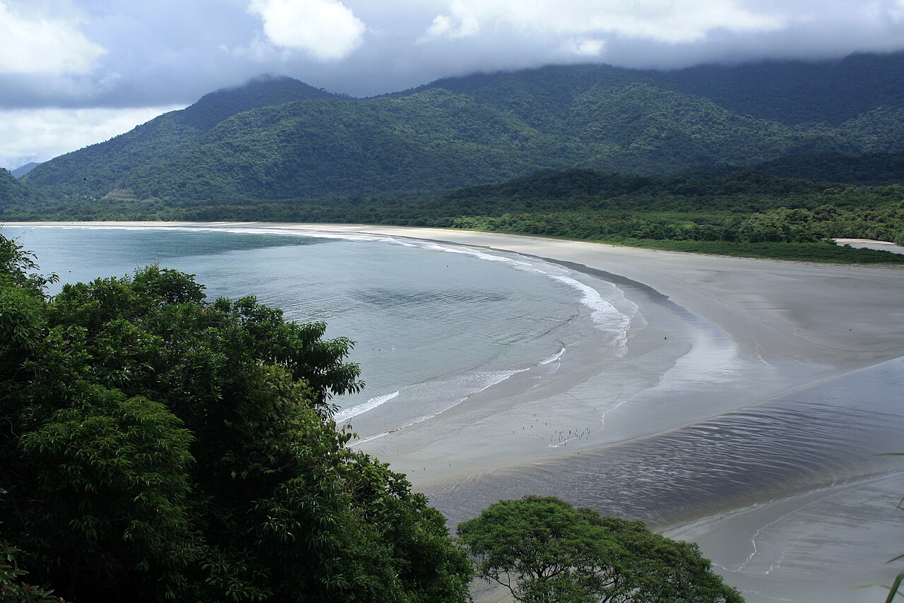 Praia com vegetação ao fundo.