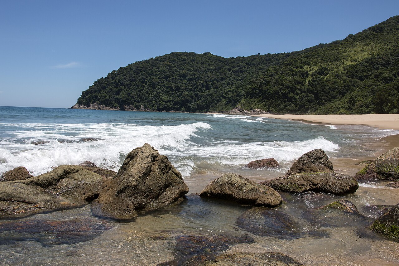 Praia com vegetação ao fundo.