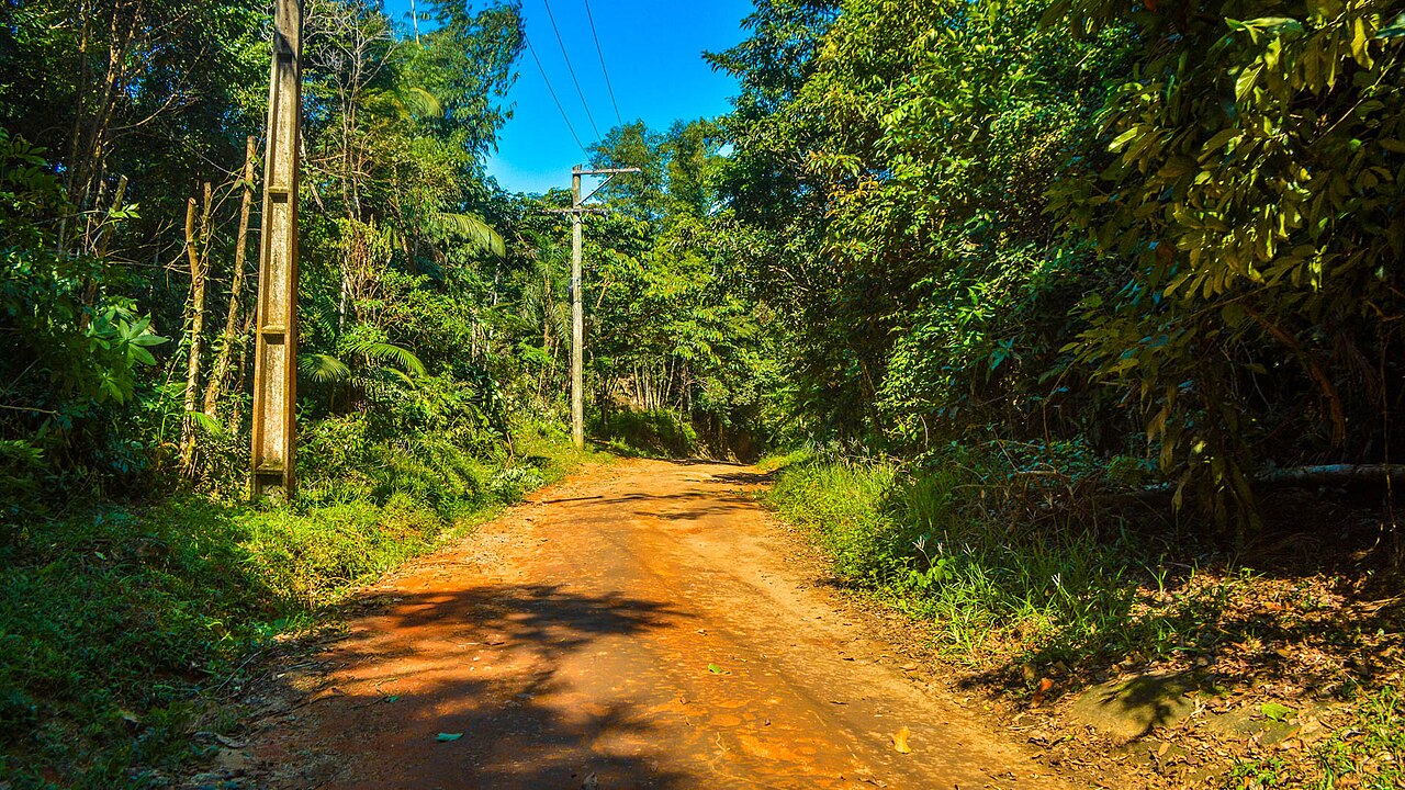 Praia com vegetação ao fundo.