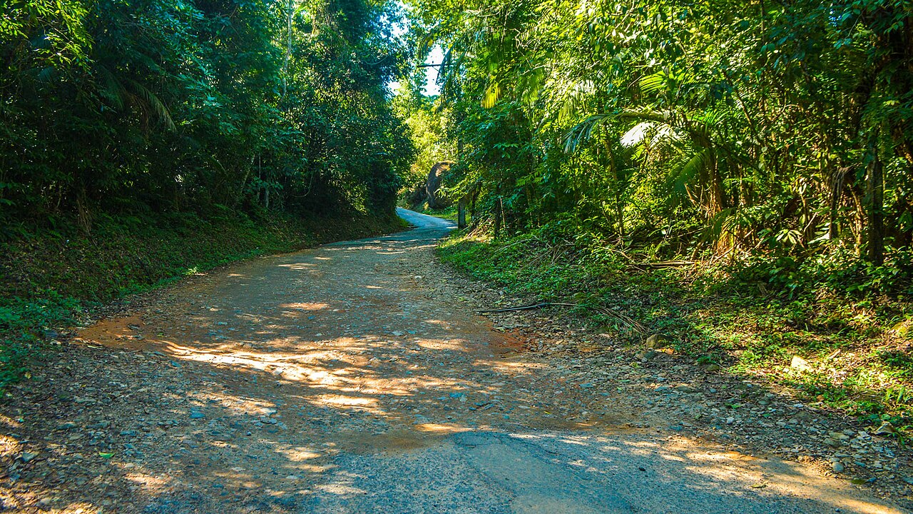 Praia com vegetação ao fundo.
