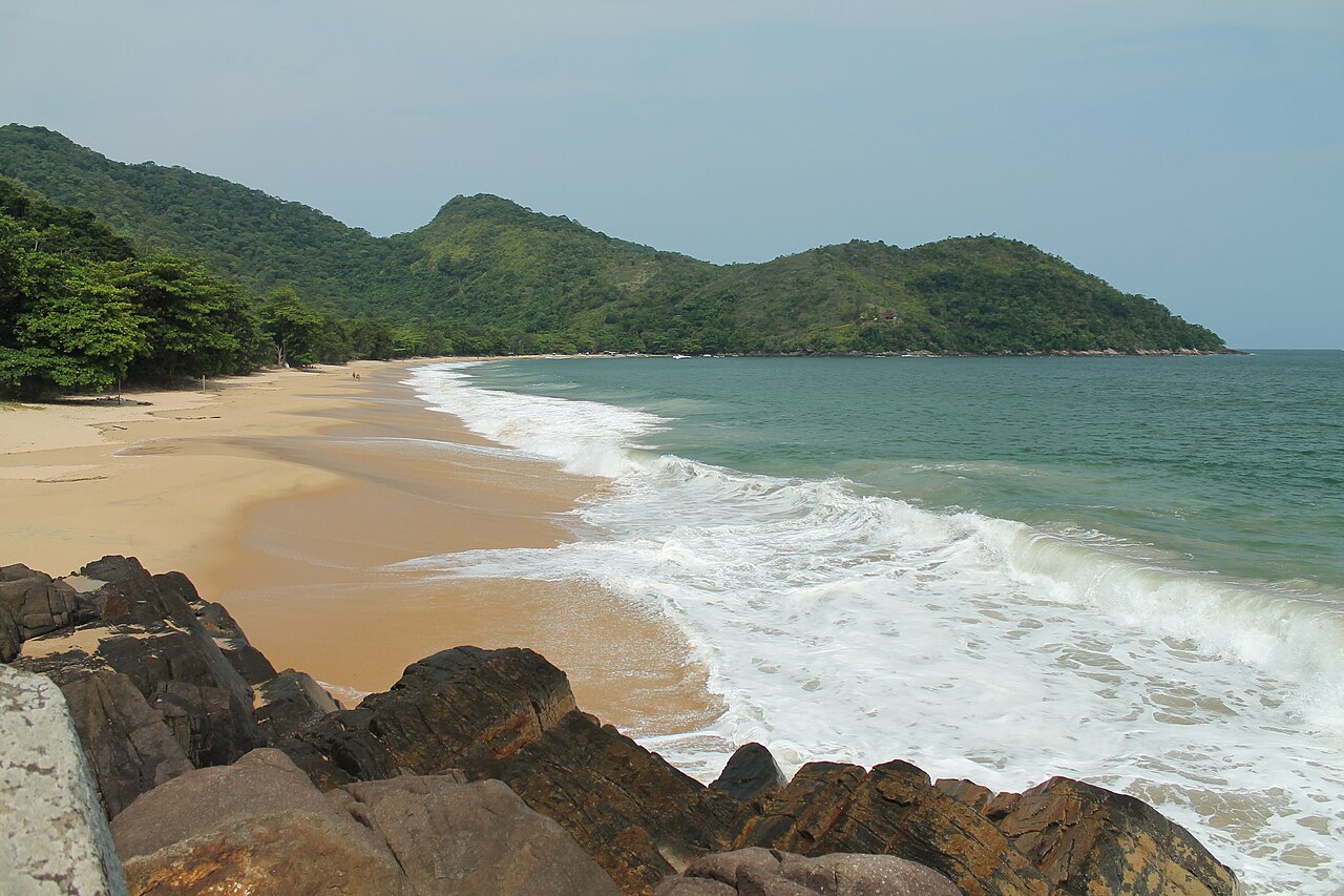 Praia com vegetação ao fundo.