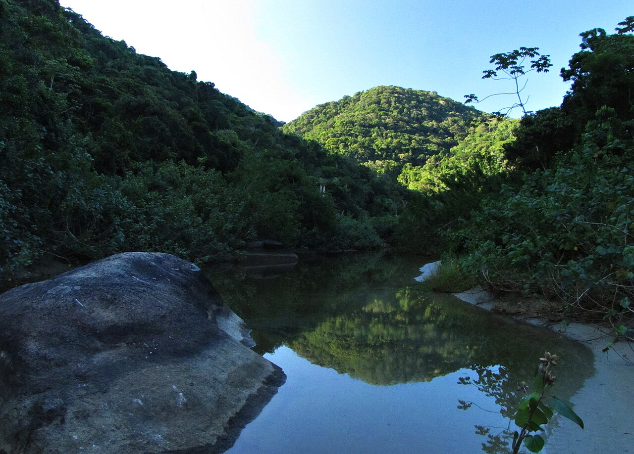 Praia com vegetação ao fundo.
