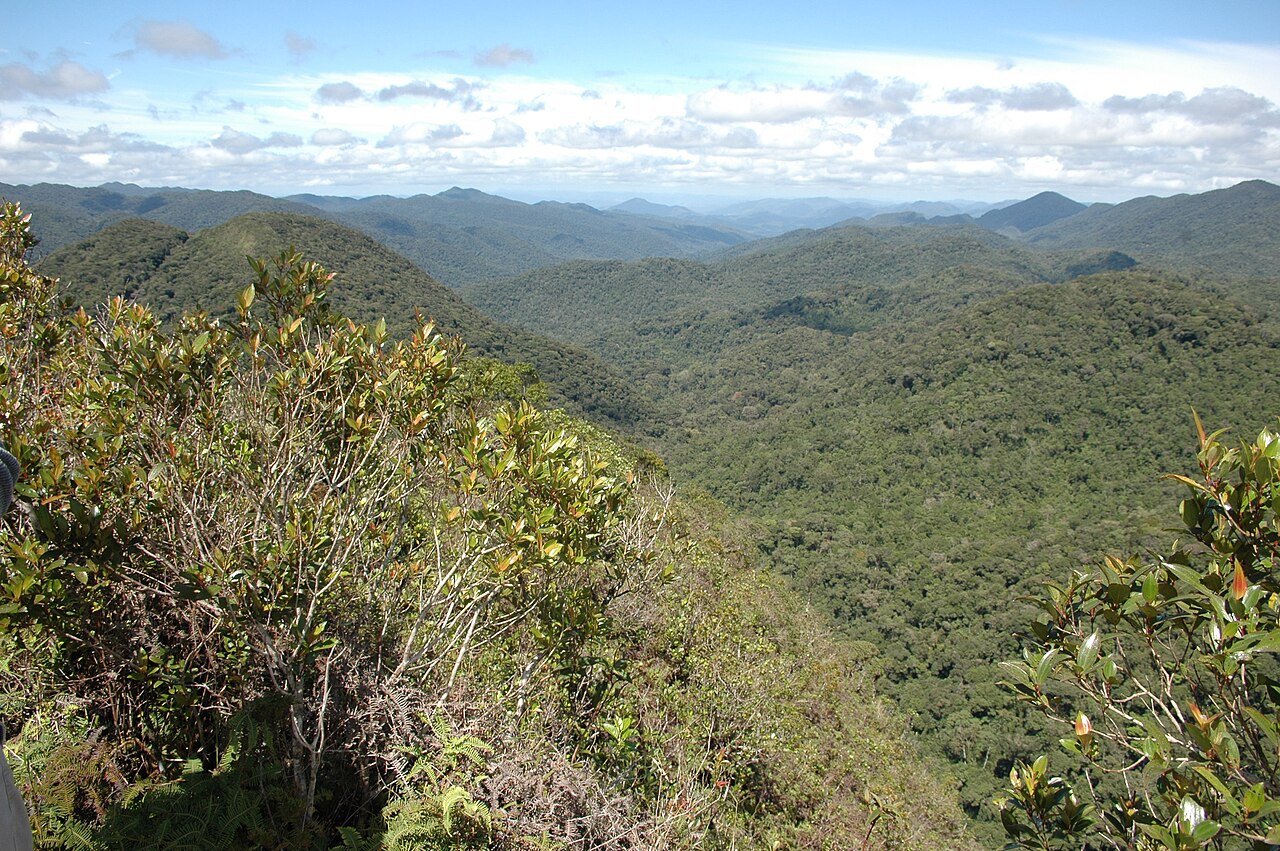 Vista aberta de morros e vegetação.
