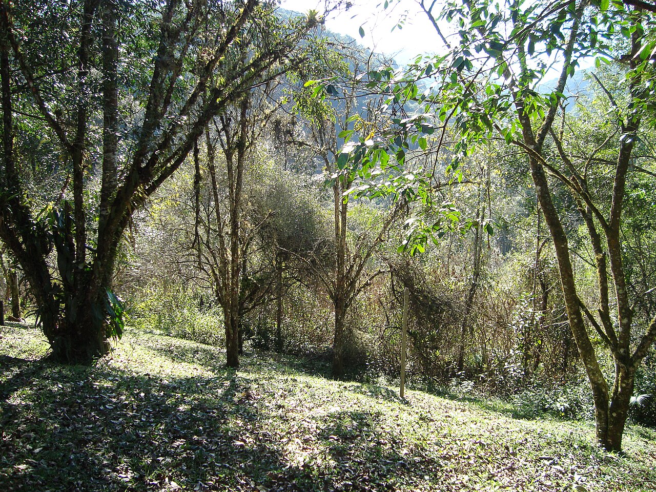 Vista aberta de morros e vegetação.