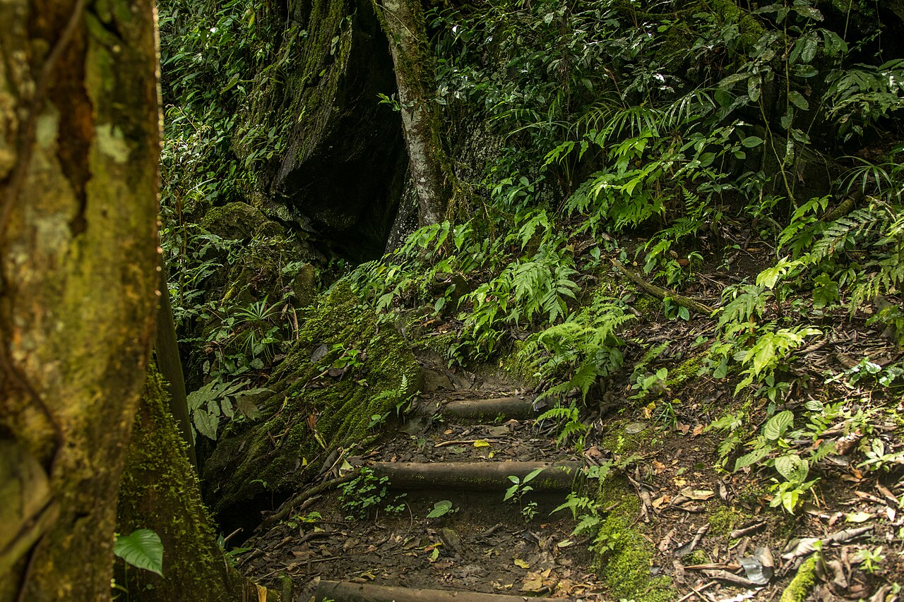 Paisagem natural da área protegida.