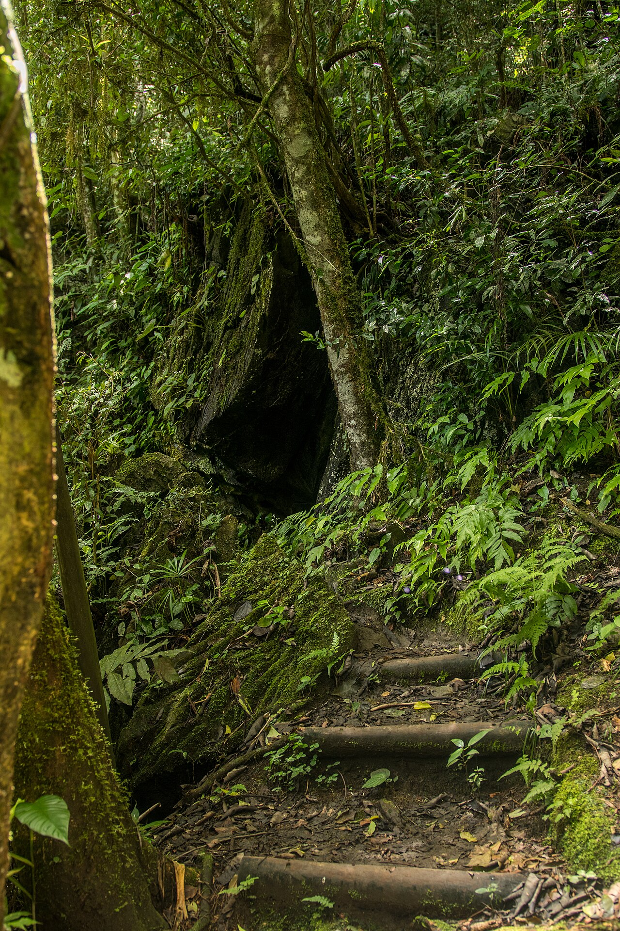 Paisagem natural da área protegida.