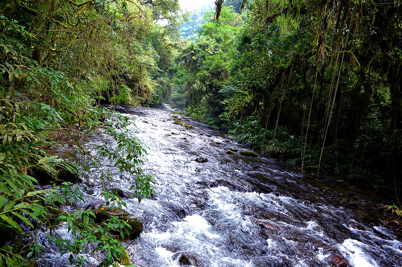 Rio entre pedras e vegetação.