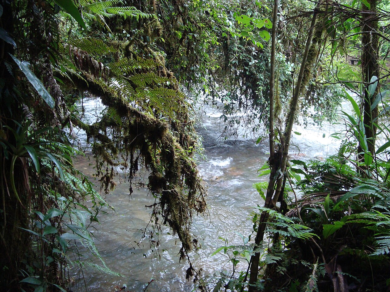 Rio entre pedras e vegetação.
