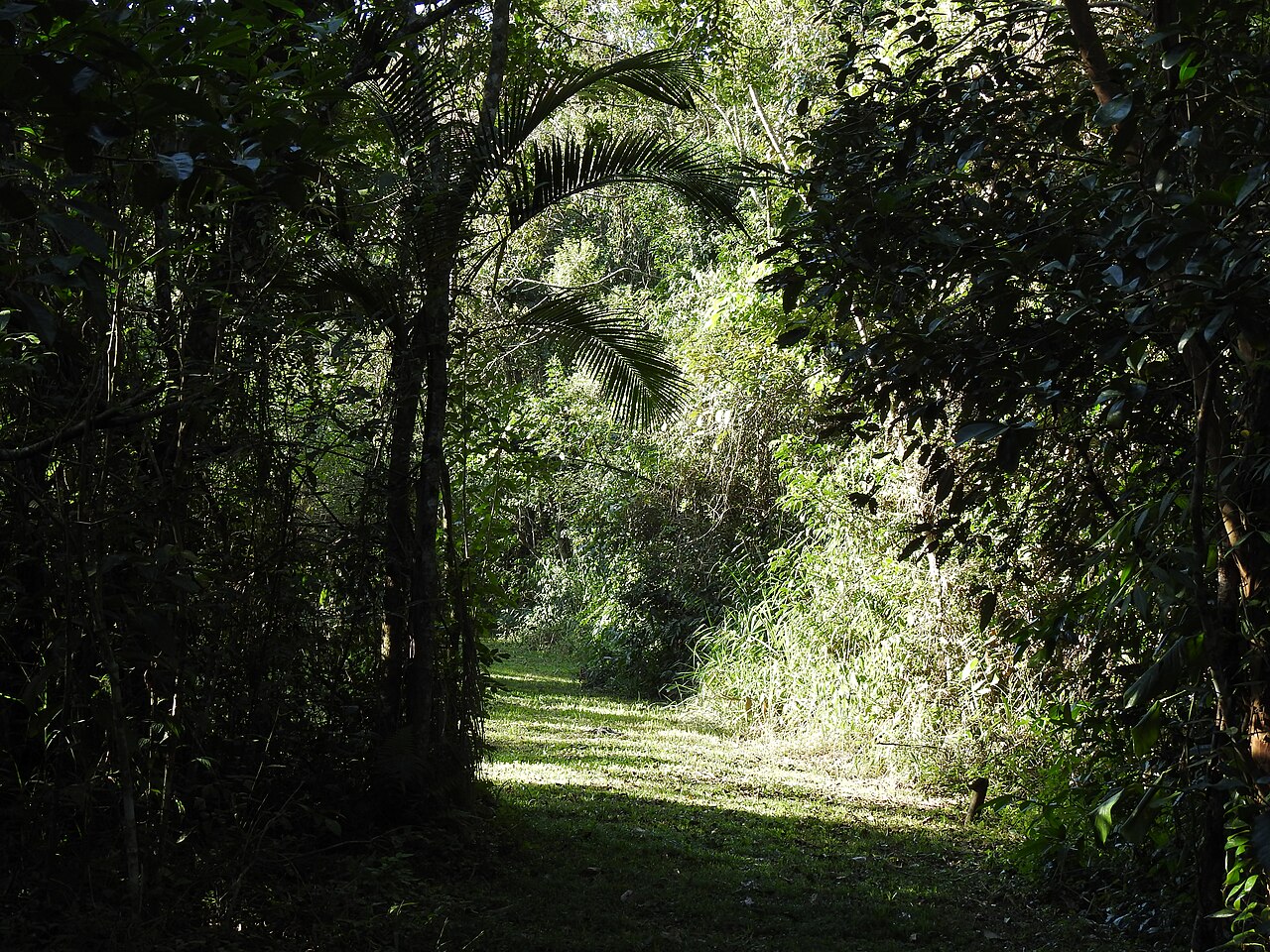 Paisagem natural da área protegida.