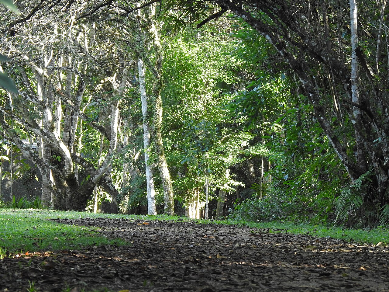 Paisagem natural da área protegida.