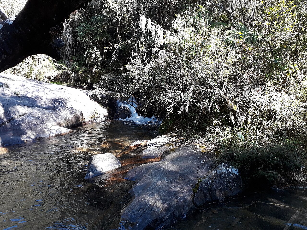 Paisagem natural da área protegida.