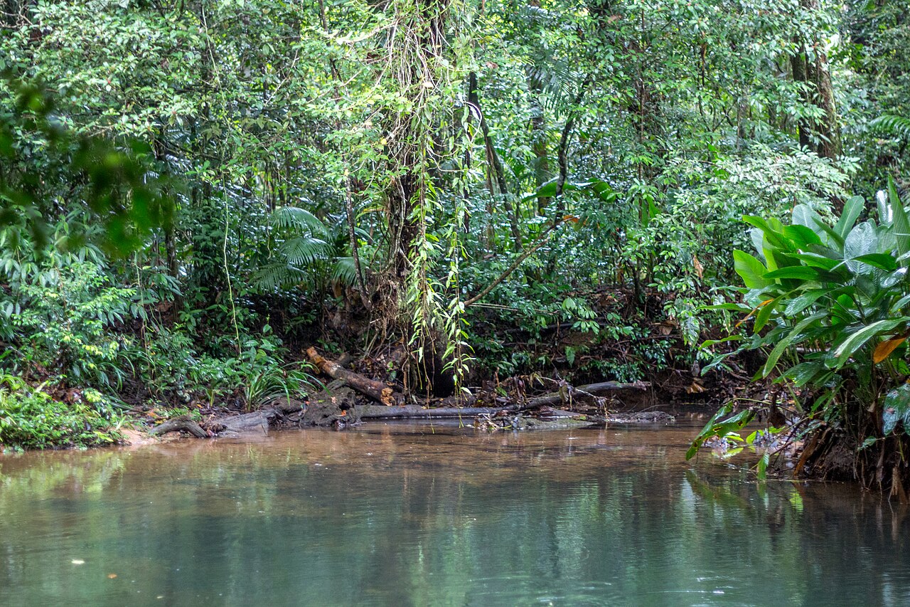 Poço natural entre pedras e vegetação.
