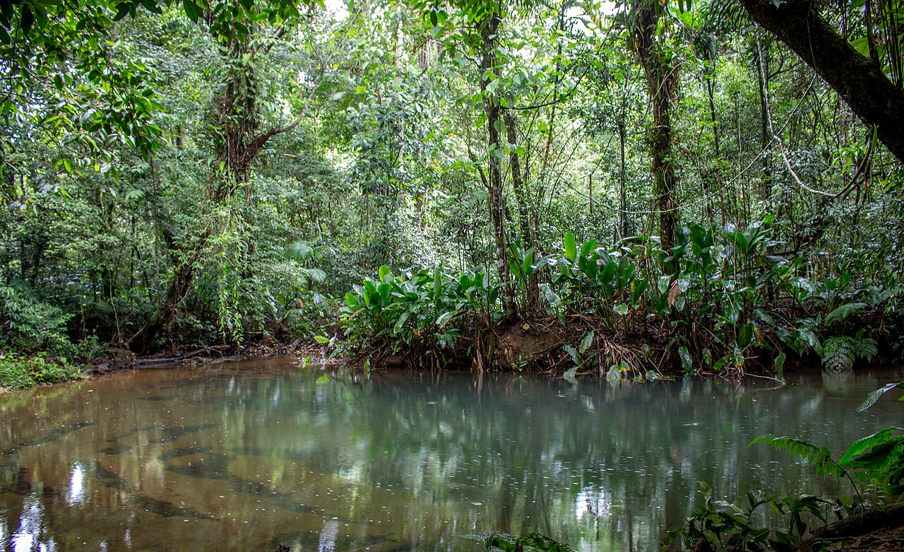 Poço natural entre pedras e vegetação.