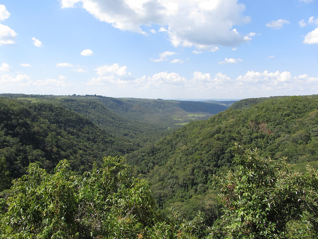 Paisagem natural da área protegida.