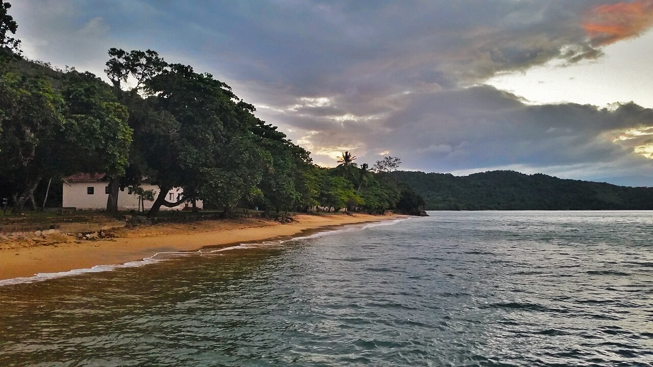 Praia com vegetação ao fundo.
