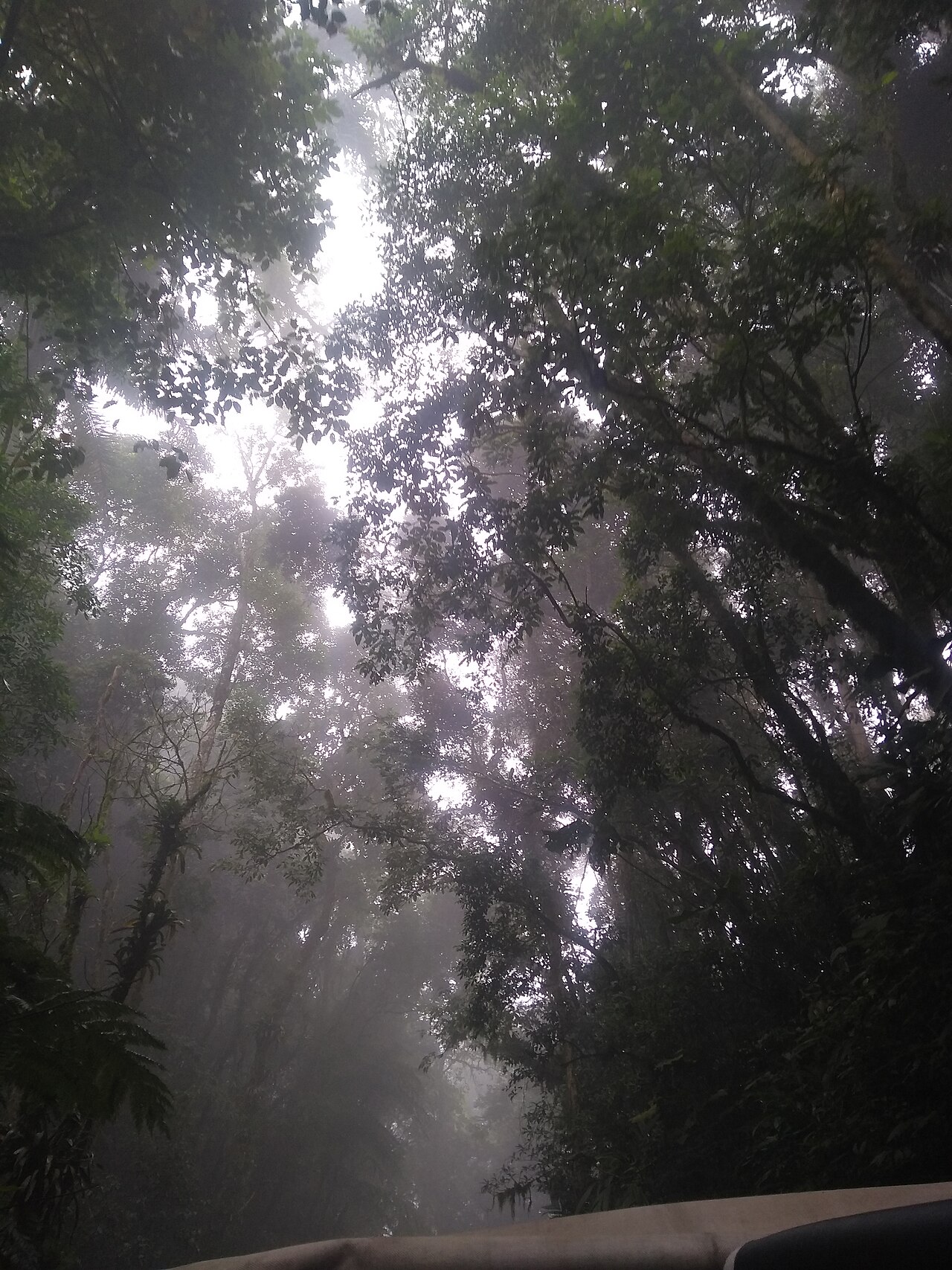 Paisagem natural da área protegida.