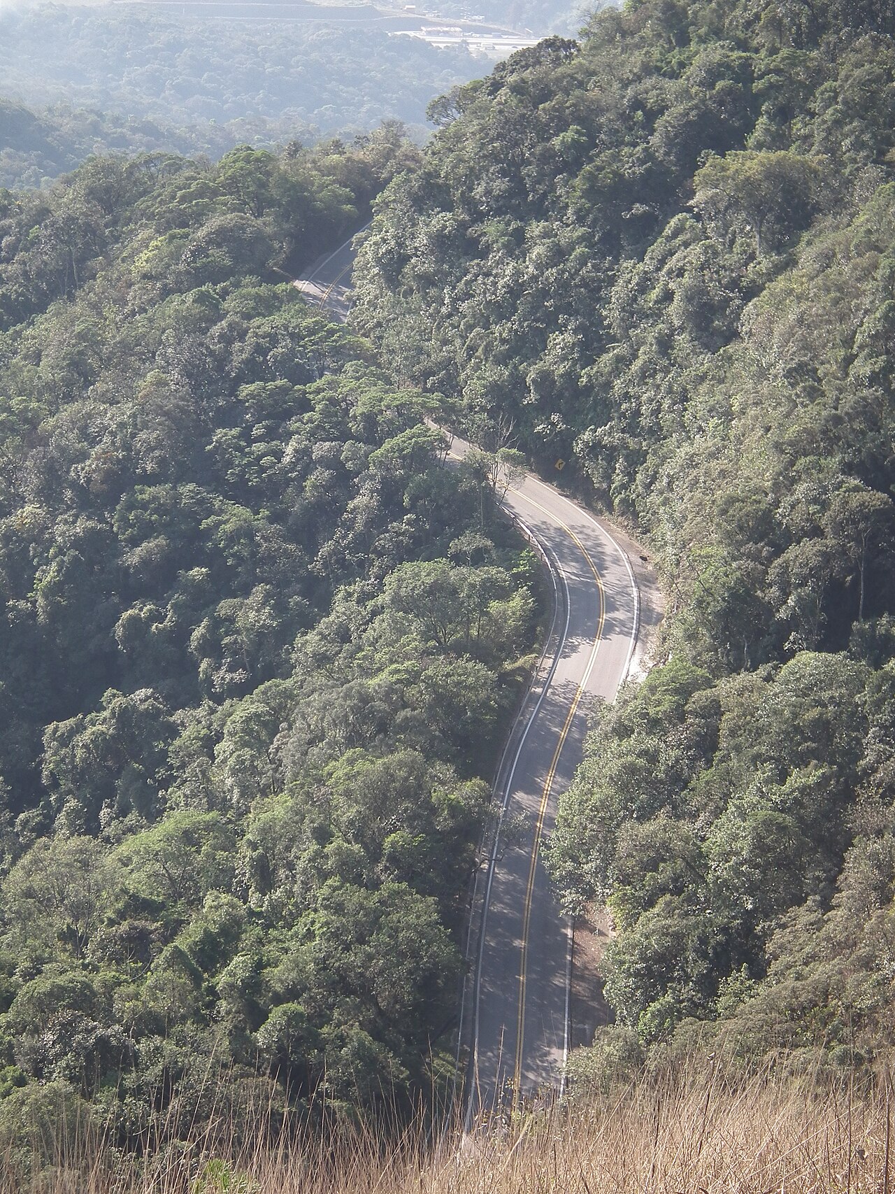 Estrada em meio à vegetação.