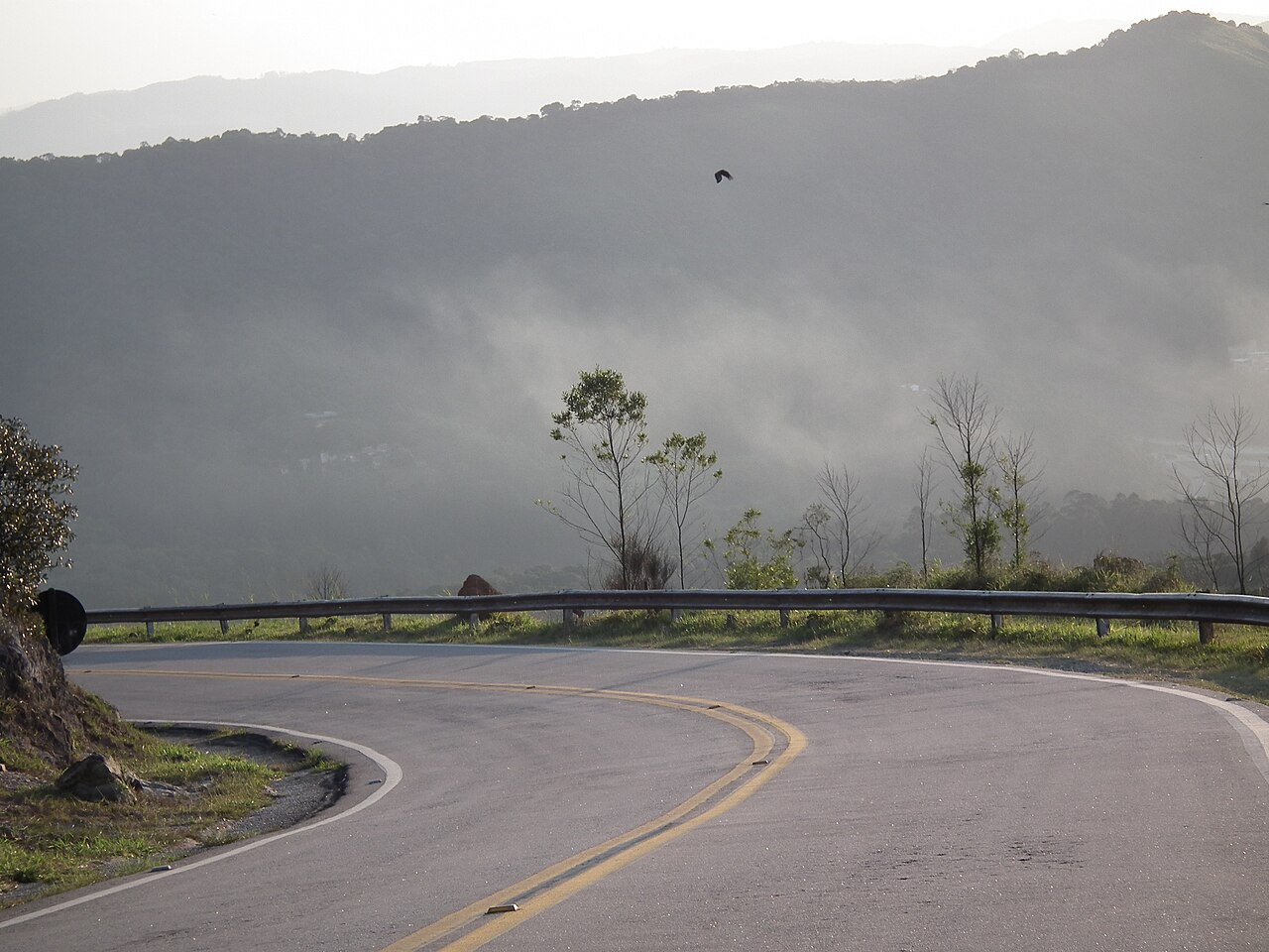 Estrada em meio à vegetação.