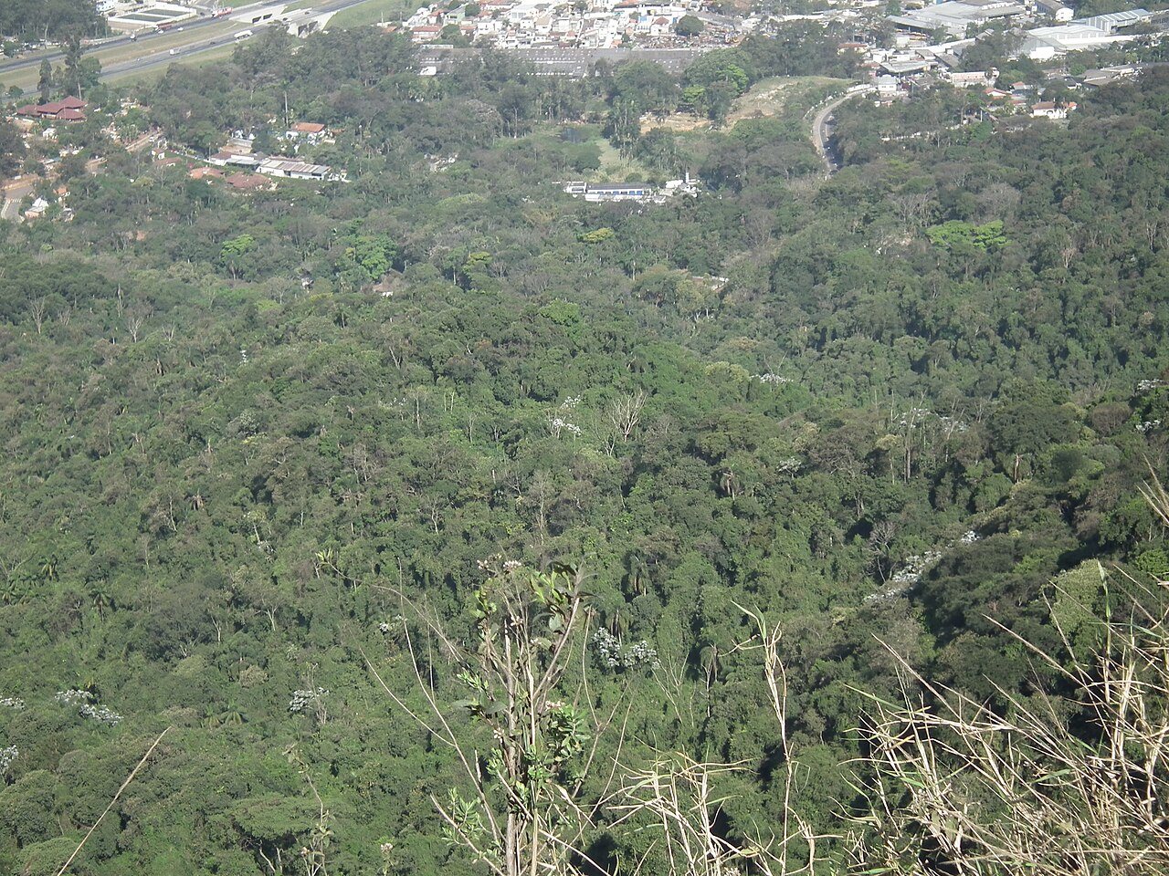 Paisagem natural da área protegida.