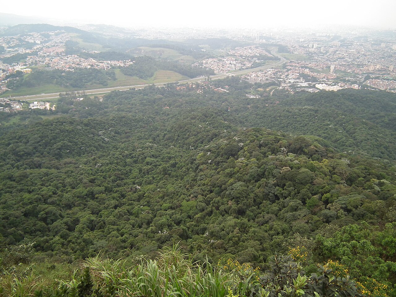 Paisagem natural da área protegida.