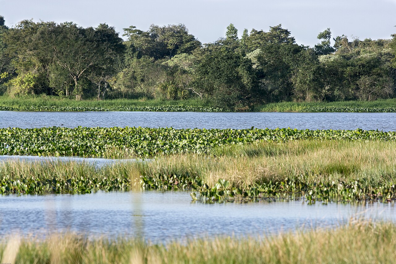 Morros cobertos de vegetação.