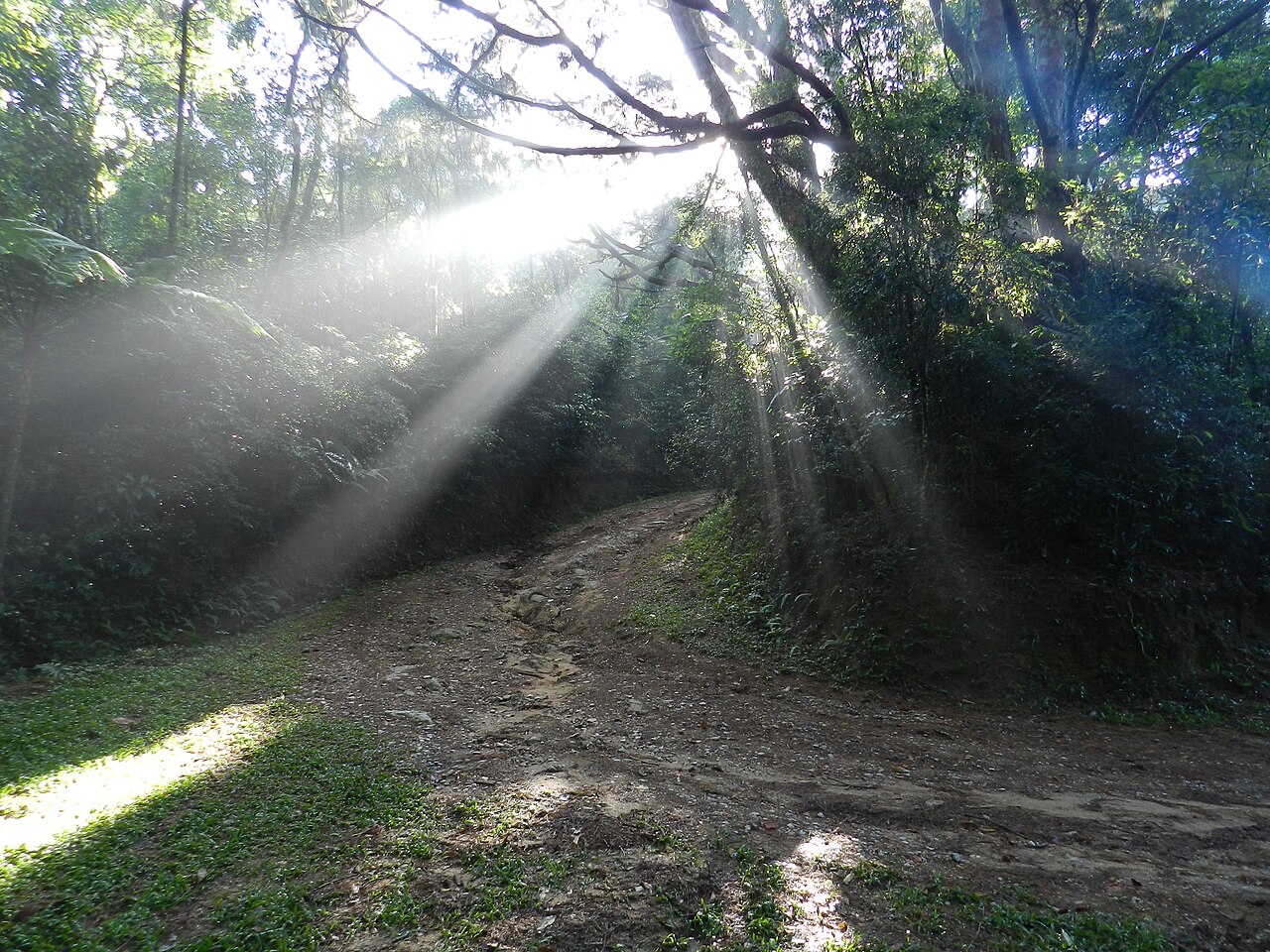 Paisagem natural da área protegida.