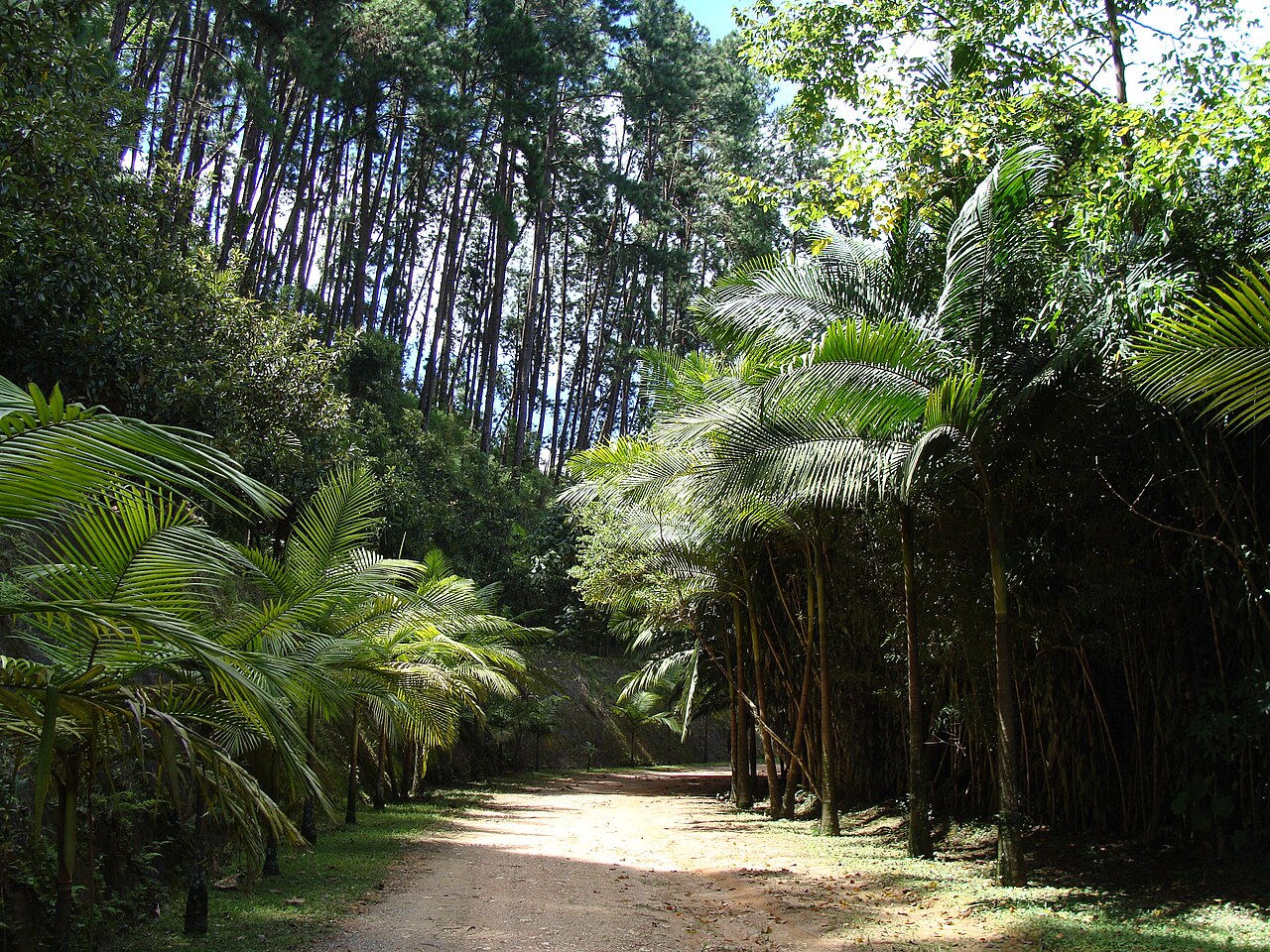 Paisagem natural da área protegida.