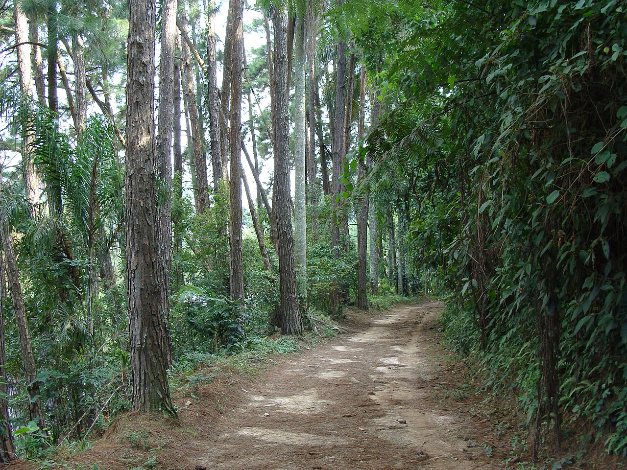 Paisagem natural da área protegida.