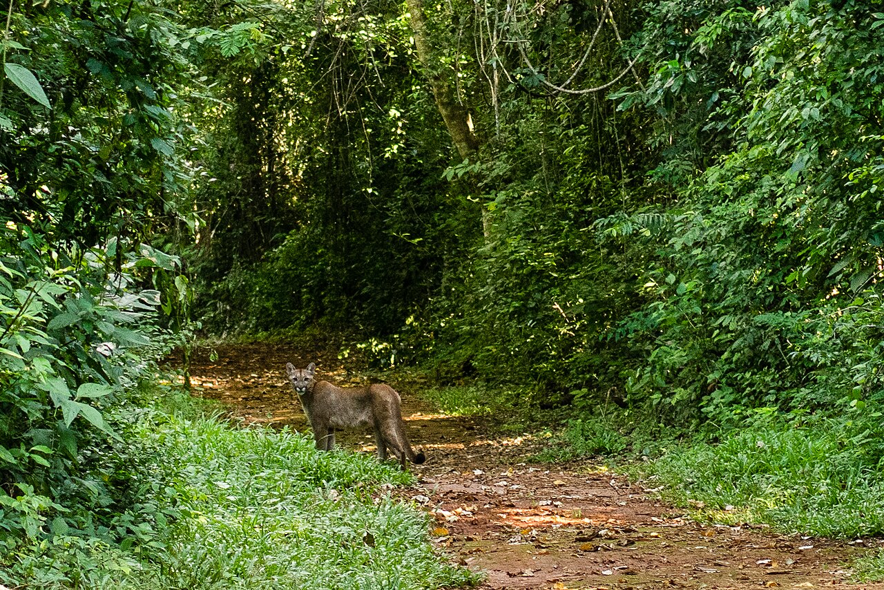 Paisagem natural da área protegida.