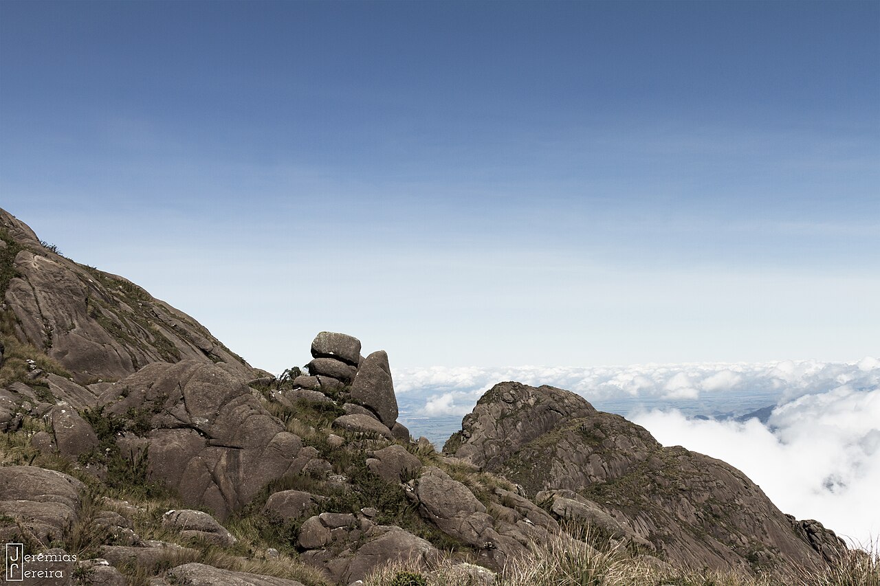 Pico dos Marins com vegetação de altitude em primeiro plano.