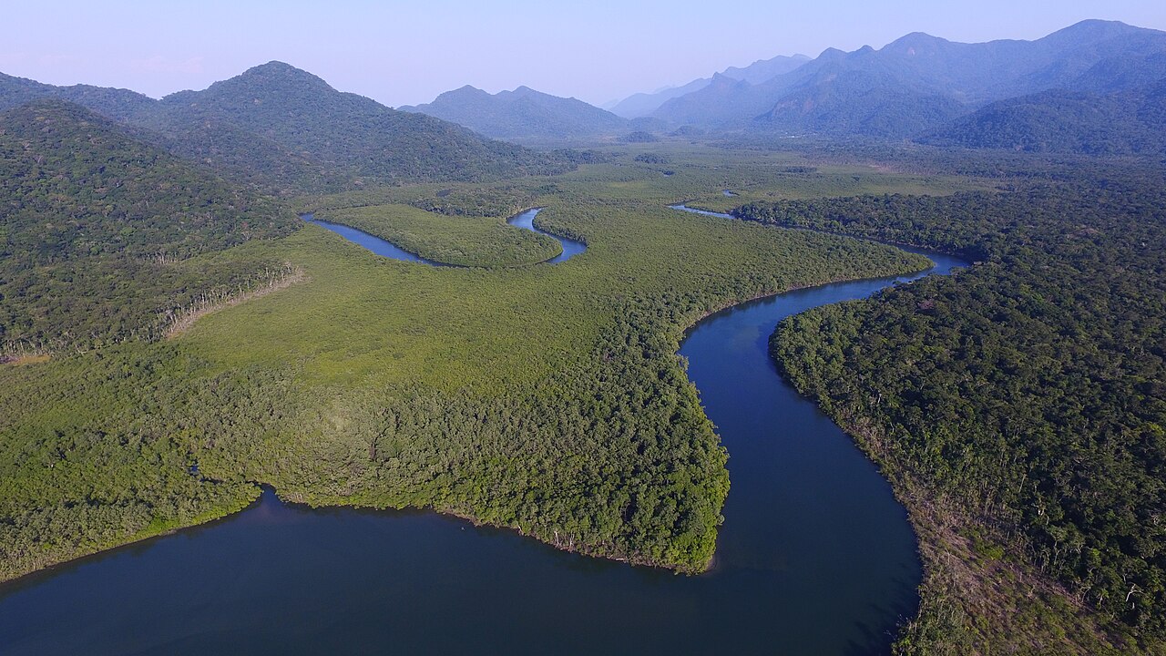 Rio Guaraú serpenteando entre a mata, visto do alto.