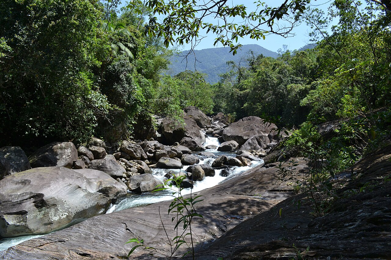 Cachoeira do Paraíso, com o rio correndo sobre lajes de pedra entre a mata.