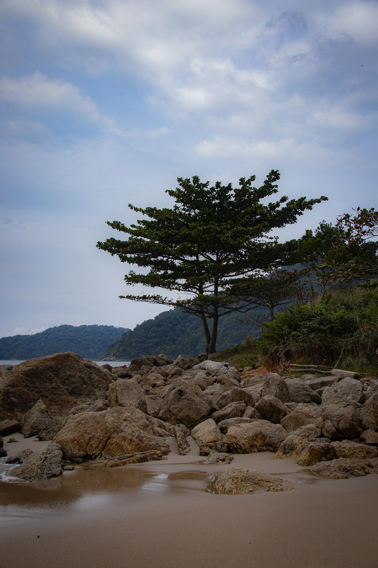 Praia entre o mar e a mata do Parque Estadual Xixová-Japuí.