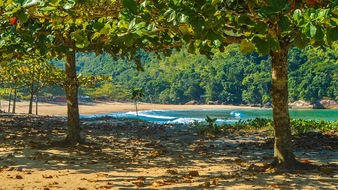 Praia do Camburi com a faixa de areia à sombra das árvores.