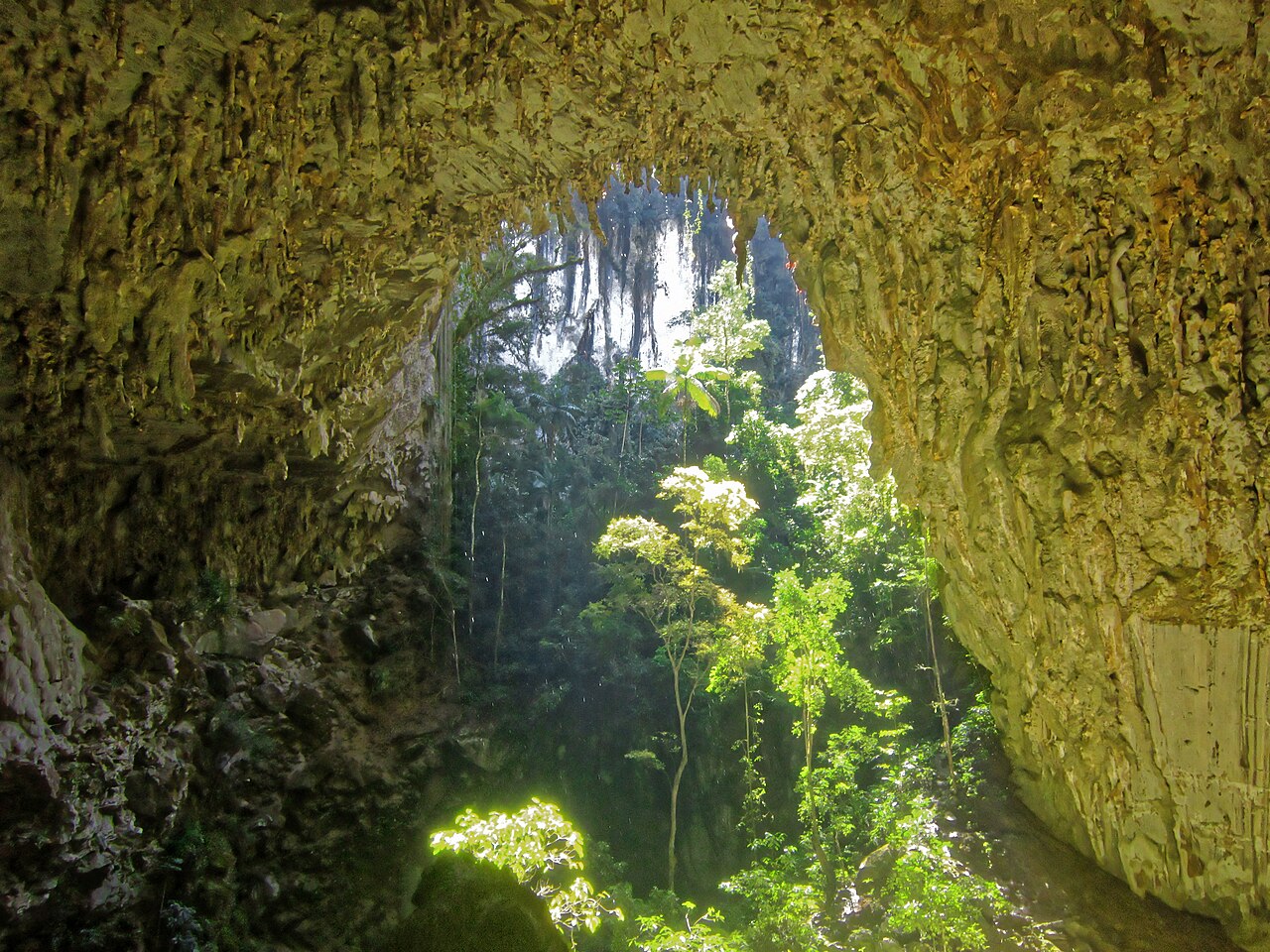 Boca da Caverna Temimina emoldurando a mata.