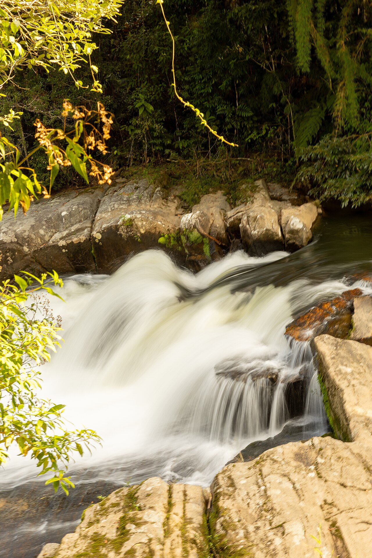 Corredeira de águas claras descendo entre pedras na mata do Núcleo Cunha.