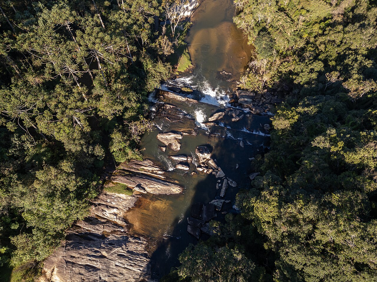 Rio serpenteando entre a mata do Núcleo Cunha, visto do alto.