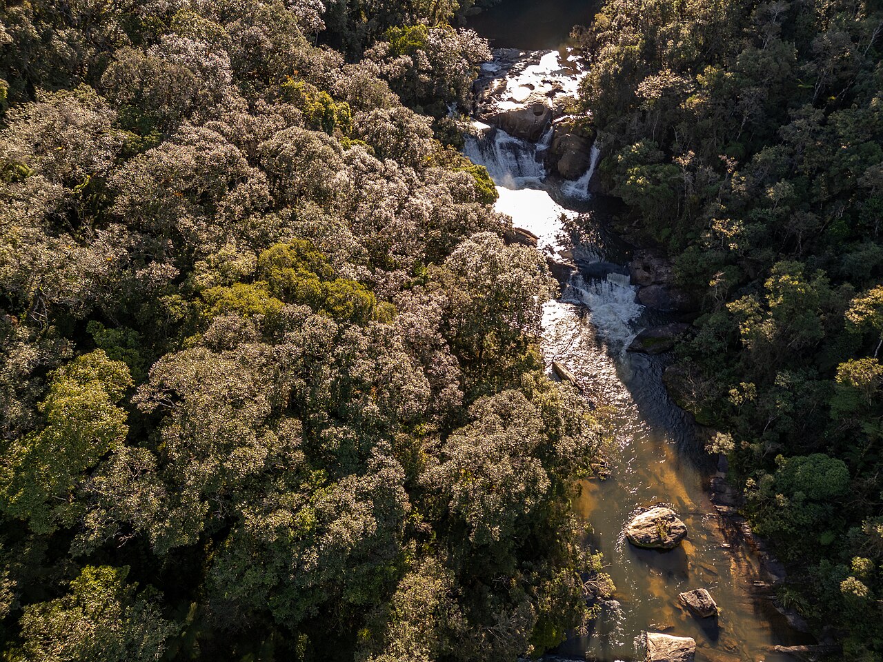 Copas da mata e trecho de rio vistos do alto, no Núcleo Cunha.