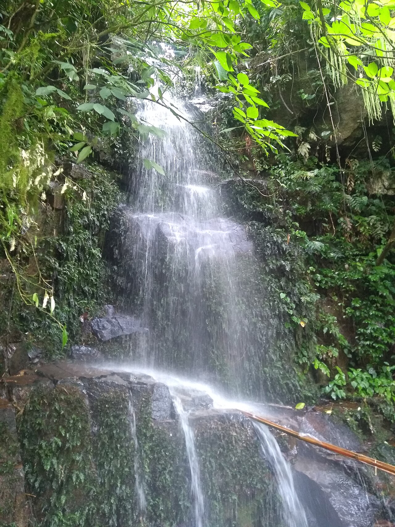 Cascata descendo em véu sobre a rocha, entre a mata de Ilhabela.