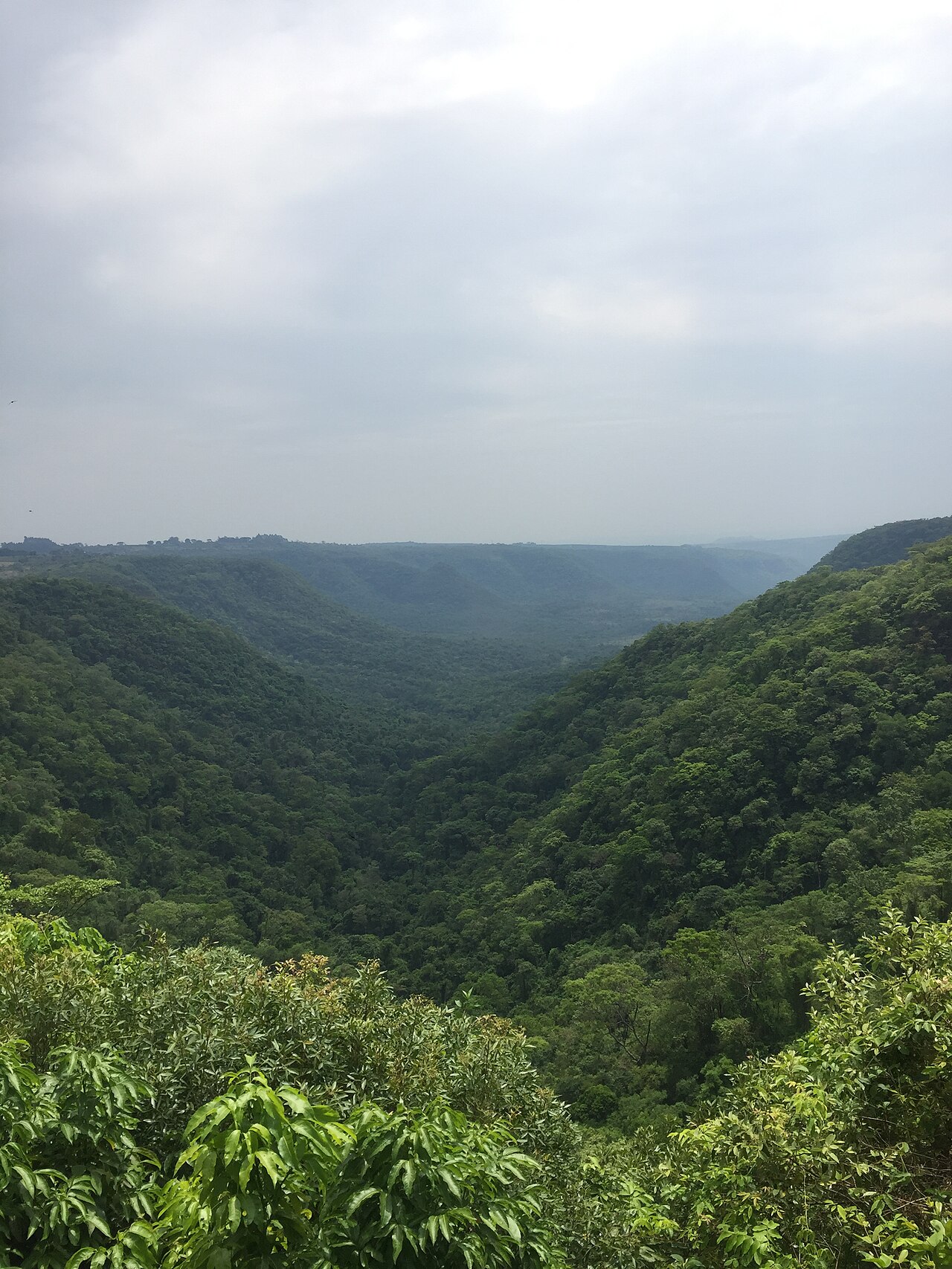 Vale coberto de mata nas Furnas do Bom Jesus, visto do mirante.
