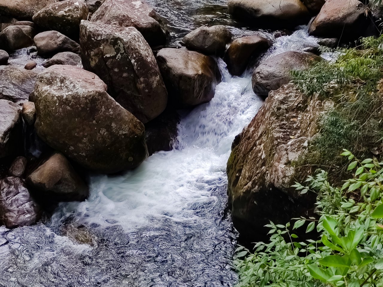 Água branca correndo entre grandes blocos de pedra arredondados, com folhagem verde em primeiro plano