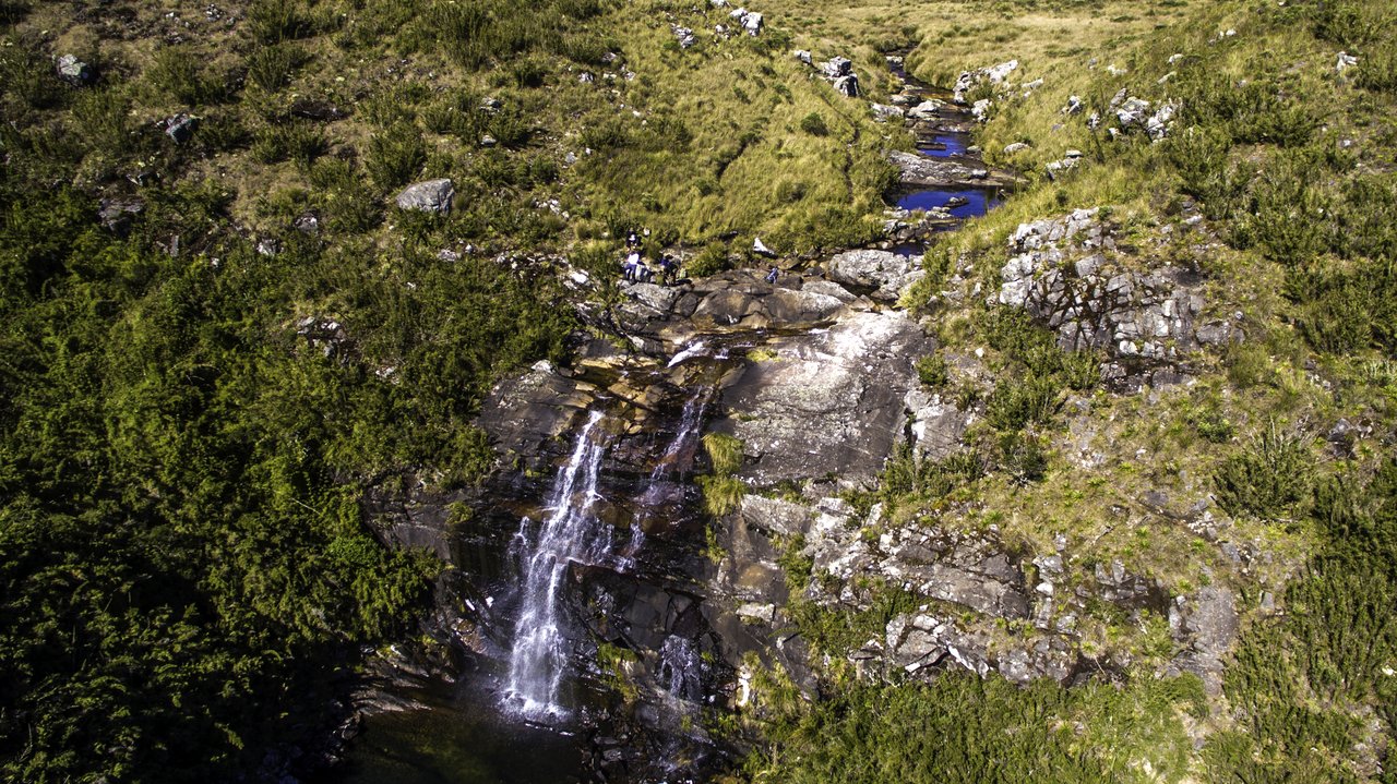 Queda d'água fina descendo por paredão de rocha escura em meio a vegetação de altitude, vista de cima