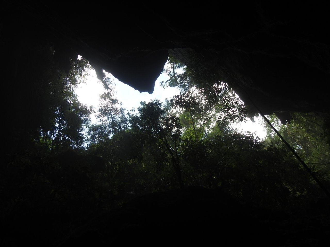 Abertura de caverna vista de dentro, em contraluz, com copas de árvores recortadas contra o céu claro