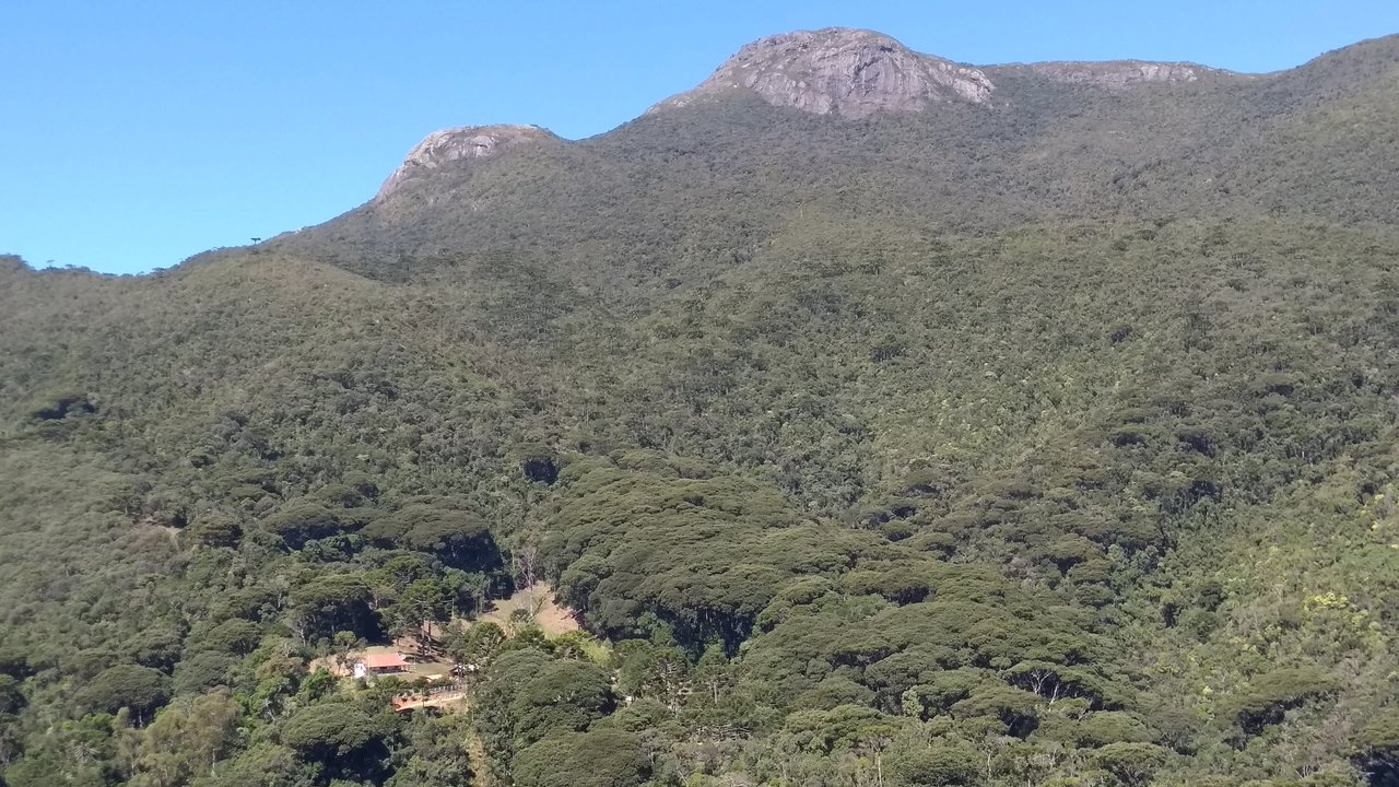 Pico da Serra Negra, de topo rochoso, erguendo-se acima da encosta coberta de mata
